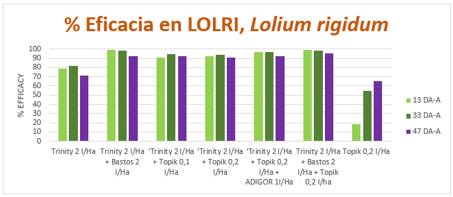 Eficacia en Lolium rigidum